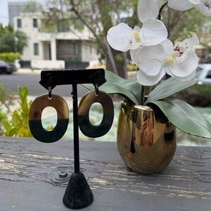Clay and brown buffalo horn lacquer earrings